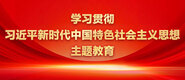 操逼免费视频爆操学习贯彻习近平新时代中国特色社会主义思想主题教育_fororder_ad-371X160(2)